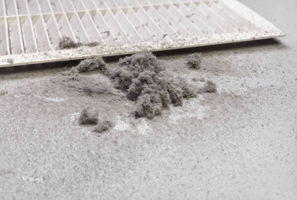Best HVAC System Cleaning  in Lexington, MS