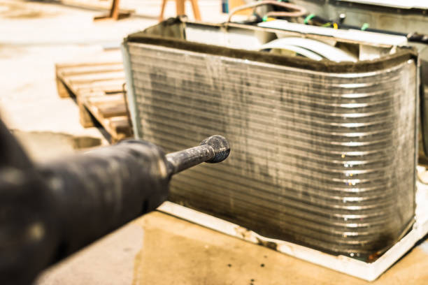 Best Air Duct Mold Removal  in Lexington, MS