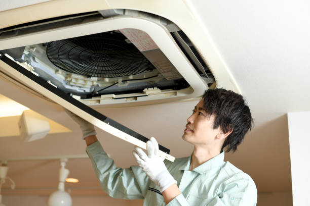 Best Local Air Duct Cleaning Services  in Lexington, MS