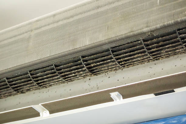 Best Affordable Air Duct Cleaning  in Lexington, MS