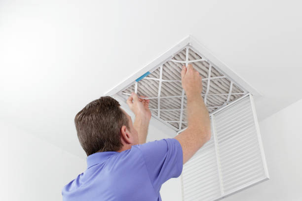 Best Home Air Vent Cleaning  in Lexington, MS